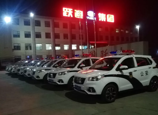 護(hù)航兩會(huì)，躍迪在行動(dòng)|躍迪電動(dòng)警用巡邏車(chē)海南執(zhí)勤，助力和諧兩會(huì)