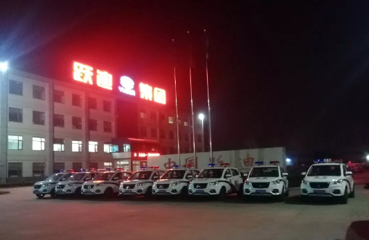 護(hù)航兩會(huì)，躍迪在行動(dòng)|躍迪電動(dòng)警用巡邏車(chē)海南執(zhí)勤，助力和諧兩會(huì)